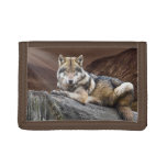 Wolf Resting On Rock Trifold Wallet at Zazzle
