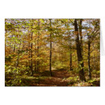 Wolf Rocks Trail in Autumn Pennsylvania Landscape