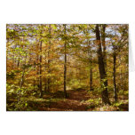 Wolf Rocks Trail in Autumn Pennsylvania Landscape Cards