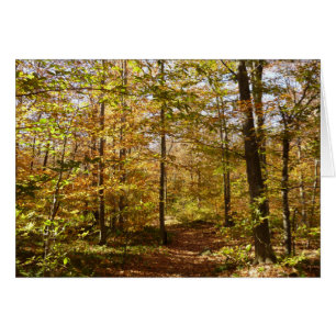 Wolf Rocks Trail in Autumn Pennsylvania Landscape Cards