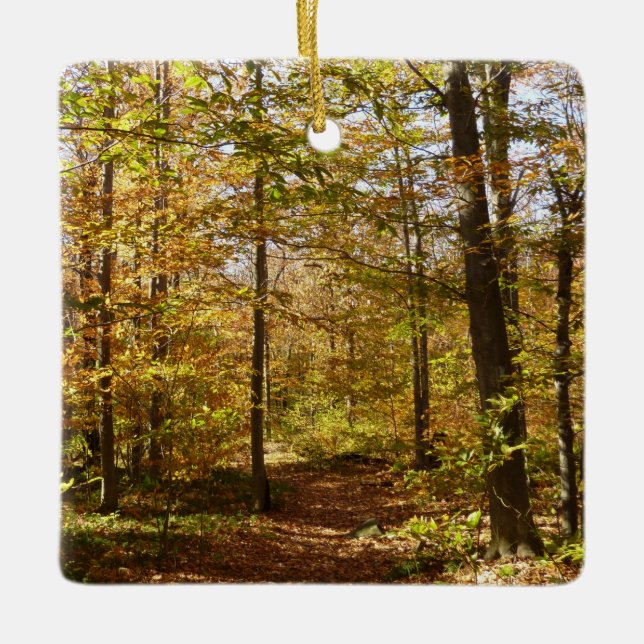 Wolf Rocks Trail in Autumn Pennsylvania Landscape Ceramic Ornament (Front)
