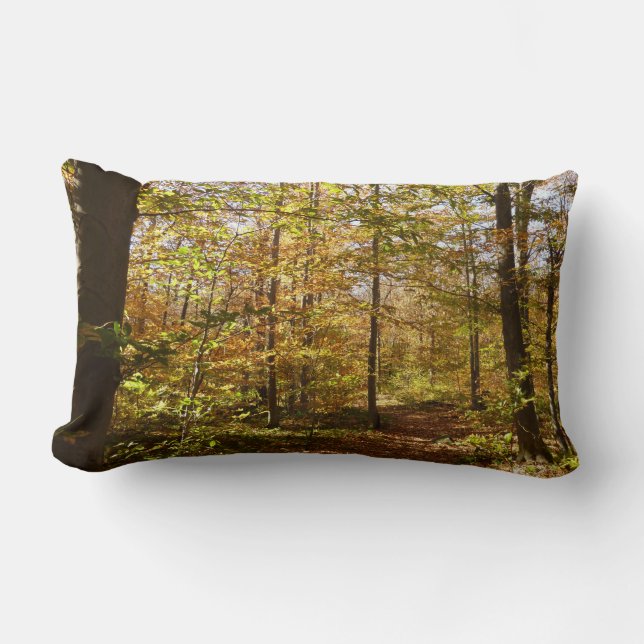 Wolf Rocks Trail in Autumn Pennsylvania Landscape Lumbar Pillow (Front)