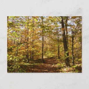 Wolf Rocks Trail in Autumn Pennsylvania Landscape Postcard