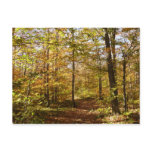 Wolf Rocks Trail in Autumn Pennsylvania Landscape Postcard