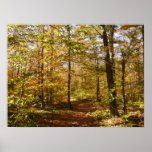 Wolf Rocks Trail in Autumn Pennsylvania Landscape Poster