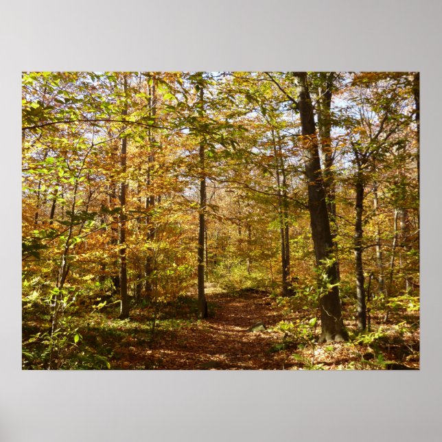 Wolf Rocks Trail in Autumn Pennsylvania Landscape Poster (Front)