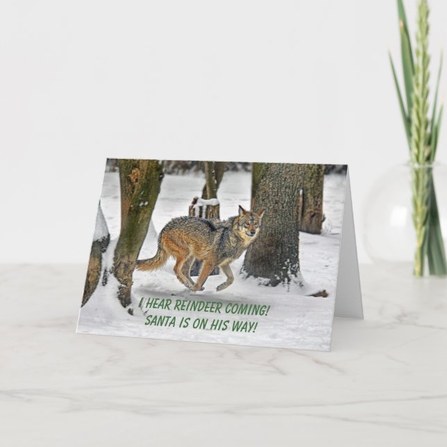 Wolf Running Christmas Card (Front)