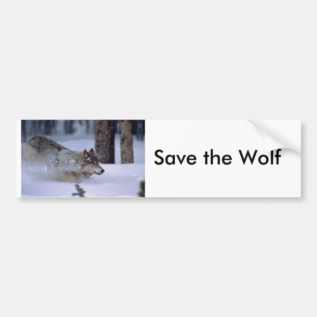 Wolf Running In Snow Bumper Sticker (Front)
