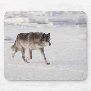Wolf running in the snow mouse pad