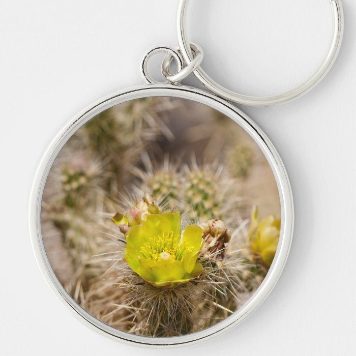 Wolf’s cholla Cactus Key Chains