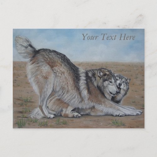 wolf scenic wildlife realist animal art postcard