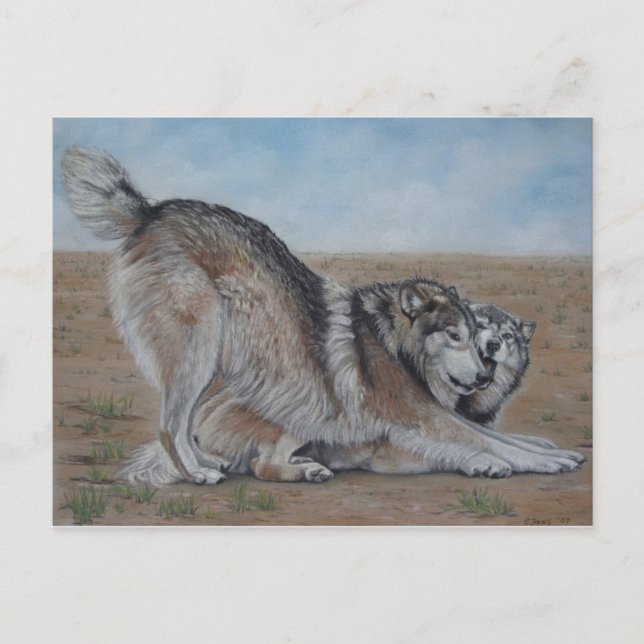 wolf scenic wildlife realist animal art postcard (Front)
