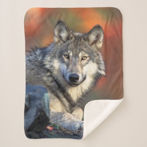 Wolf Sherpa Blanket