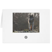 wolf silhouette cards (Back Horizontal)