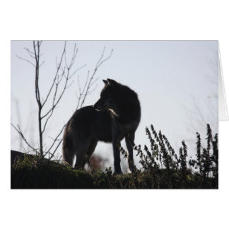 wolf silhouette cards