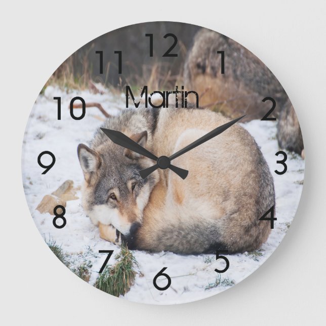 Wolf sleeping snow large clock (Front)