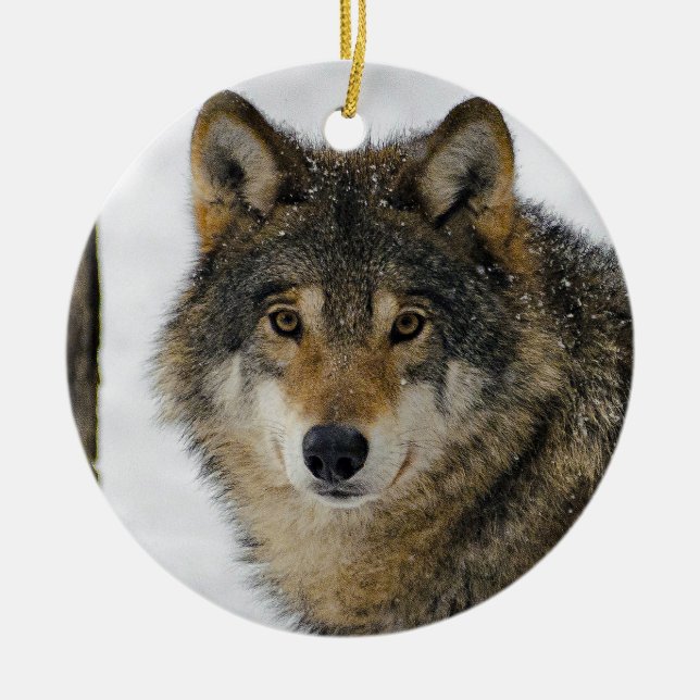 Wolf Snow Tree Photo Ceramic Ornament (Front)