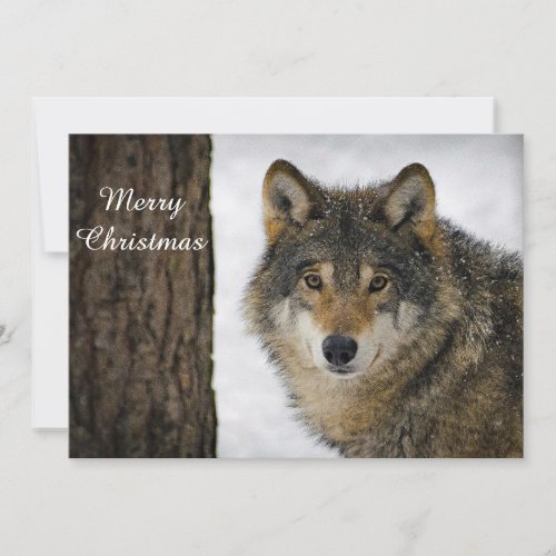 Wolf Snow Tree Photo Christmas Flat Holiday Card