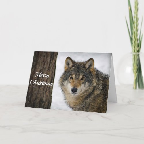 Wolf Snow Tree Photo Christmas Holiday Card