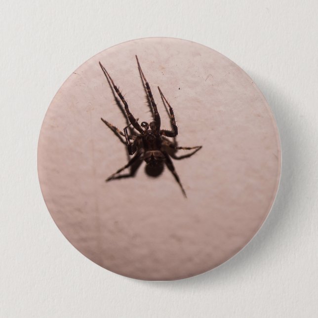 Wolf Spider Button (Front)
