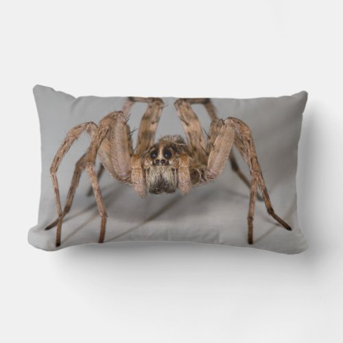 Wolf Spider Lumbar Pillow
