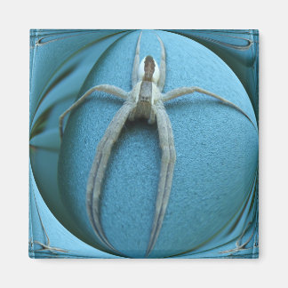 Wolf Spider ~ magnet