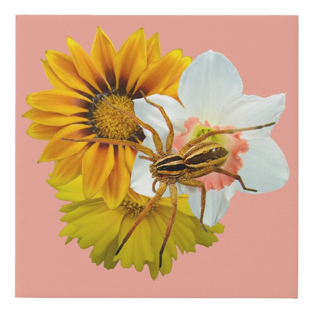 Wolf Spider on Flowers Faux Canvas Print (Front)