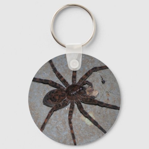 wolf spider with snack keychain