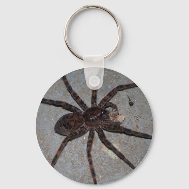 wolf spider with snack keychain (Front)