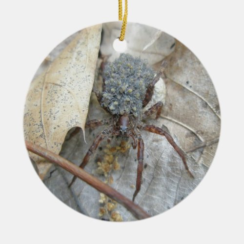 Wolf Spider with Spiderlings  Egg Case Ornament