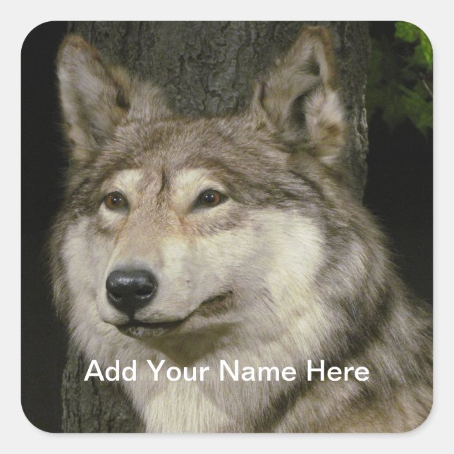 Wolf Sticker (Front)