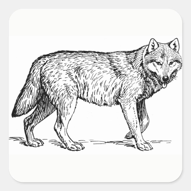 Wolf Stickers (Front)