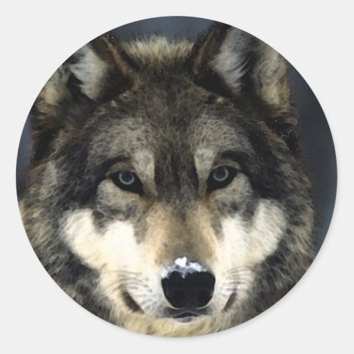 Wolf Classic Round Sticker | Zazzle