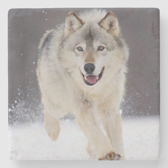Wolf Stone Coaster (Front)