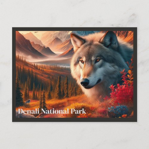 Wolf Sunset Denali State Park Postcard