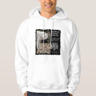 WOLF TERRENCE LATIN QUOTE HOODIE
