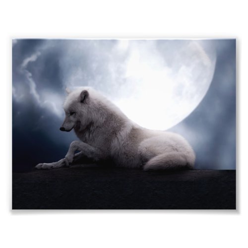 Wolf the King of Wilderness Photo Print