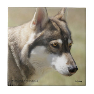 Wolf Tile