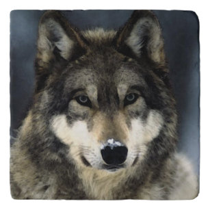 Wolf Trivet