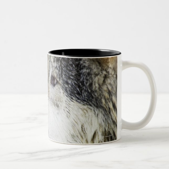 Wolf Two-Tone Coffee Mug (Right)