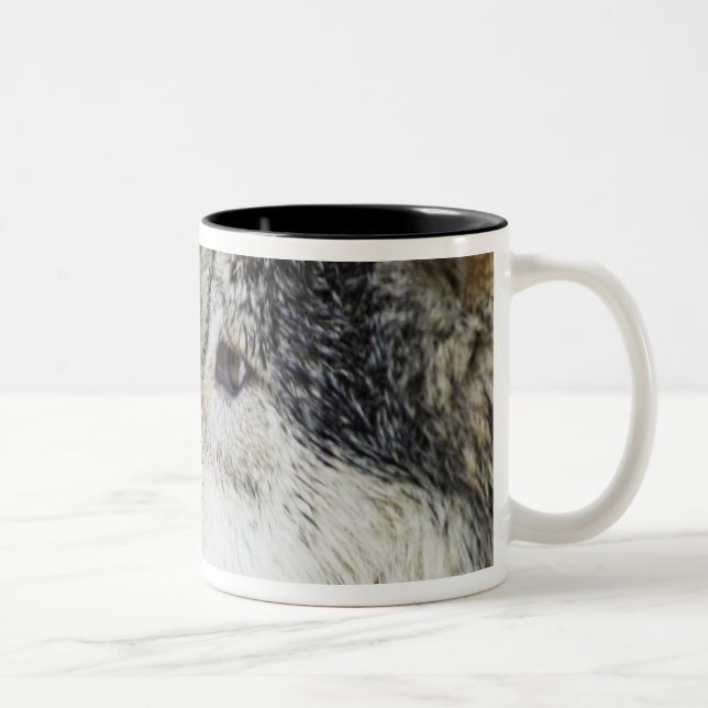 Wolf Two-Tone Coffee Mug (Right)