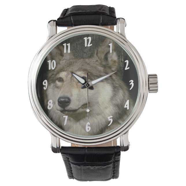 Wolf Watch (Front)