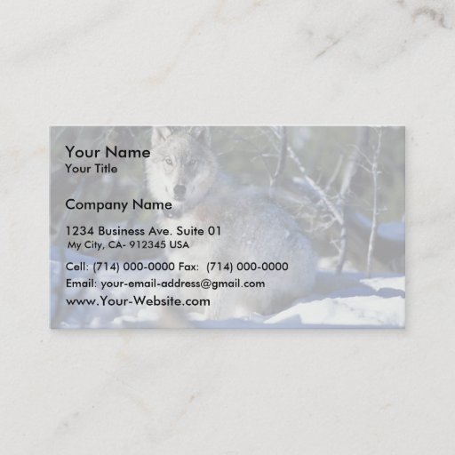 Customizable Wolf watches biologists in Yellowstone National Pa Business Card Template