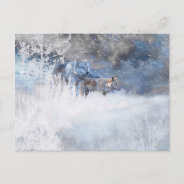 WOLF WINTER TERRITORIES POSTCARD (Front)