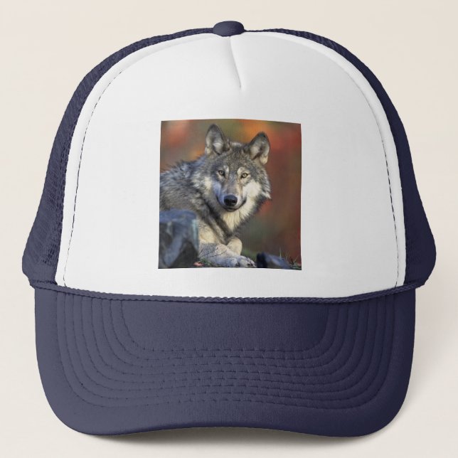 Wolf Wisdom Hat (Front)