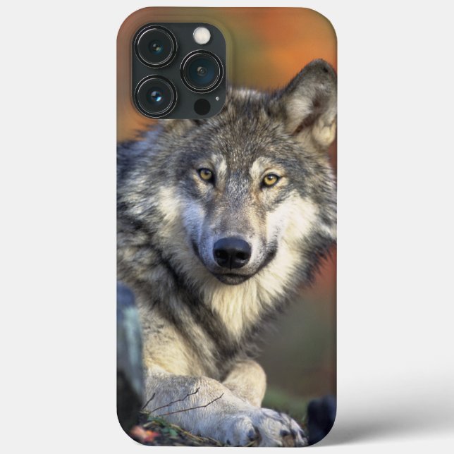 Wolf Wisdom iPhone / iPad case (Back)