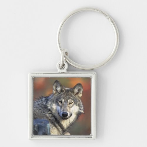 Wolf Wisdom Keychain