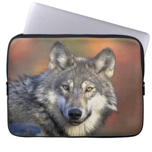 Wolf Wisdom  Laptop Sleeve