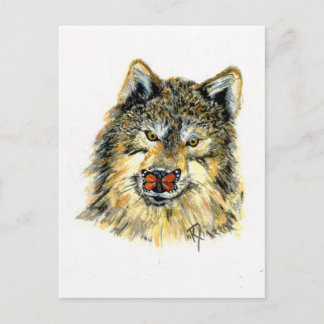 Wolf with Butterfly Postcard