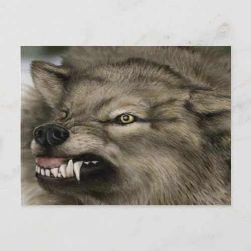 wolf with his teeth out postcard